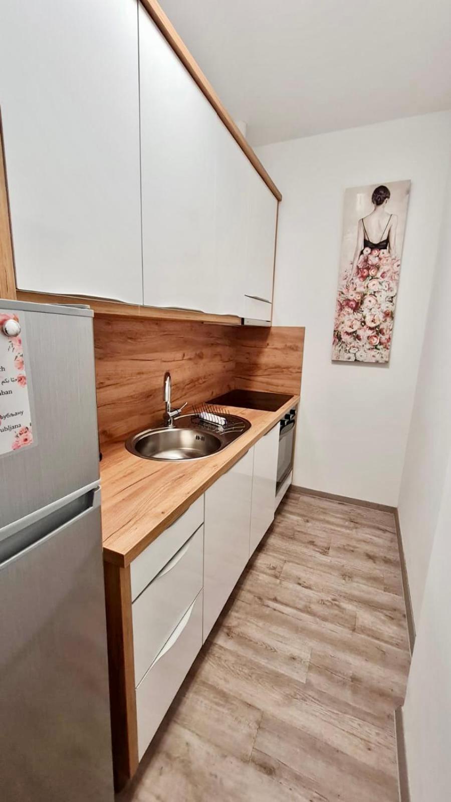 Ljubljana Central Lux Apartment With Free Parking Extérieur photo